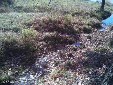 0 Free State Rd unit 1001320875, Marshall, VA 20115 - photo 2