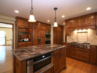 1483 Lantern Cir, Naperville, IL 60540 - photo 4