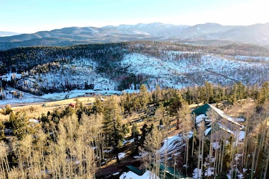 1628 New Mexico 38, Red River, NM 87558 - photo 3