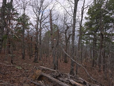 0000 SE 180th Rd, Talihina, OK 74571 - photo 6