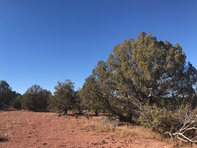 35 Cooks Trail, Ash Fork, AZ 86320 - photo 3