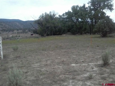 32651 County Road 500, Pagosa Springs, CO 81147 - photo 6