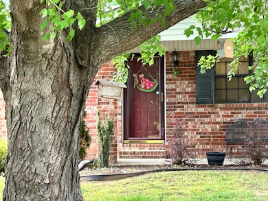 210 Tracy Ln, Paragould, AR 72450 - photo 3