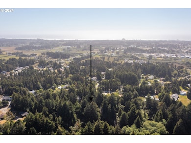 0 Bill Creek Ln unit 24269809, Bandon, OR 97411 - photo 3