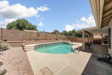 Beautiful Backyard