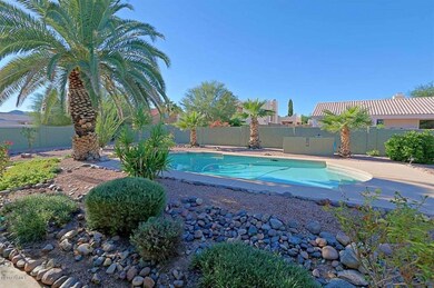 Backyard 6