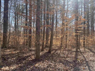 6630 E Rust Rd unit 1 aka 2A and 2B, Unionville, IN 47468 - photo 5