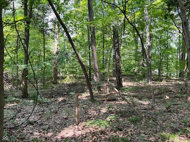 3501 S Swartz Ridge Rd, Bloomington, IN 47401 - photo 5