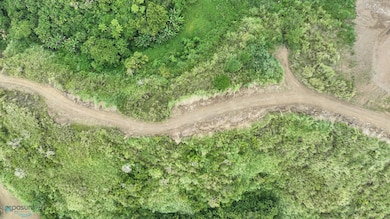 Carr 773 Km 2 6, Barranquitas, PR 00794 - photo 3