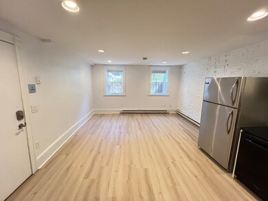 33 E Springfield St unit 1A, Boston, MA 02118 - photo 4