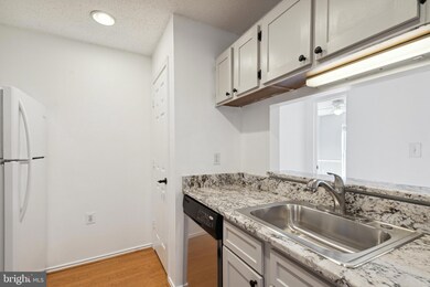 21024 Timber Ridge Terrace unit 302, Ashburn, VA 20147 - photo 6
