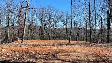 343 Marion County 7002, Flippin, AR 72634 - photo 2