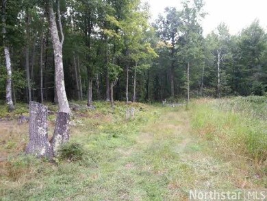 16975 479th Ln, Mc Gregor, MN 55760 - photo 6