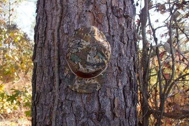 0 County Road 115, Carrollton, MS 38917 - photo 4