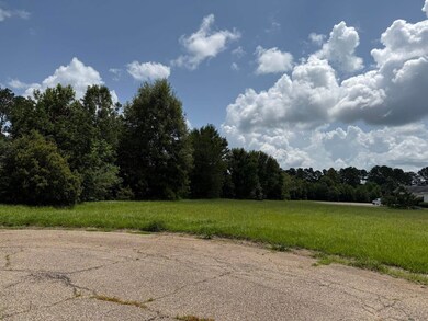 0 Bellewood Park, Columbia, MS 39429 - photo 3
