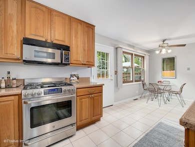 346 8th Ave, La Grange, IL 60525 - photo 7