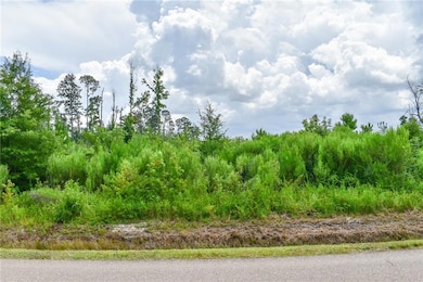 0 Old Genessee Rd unit 2482074, Tickfaw, LA 70466 - photo 2