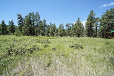 136 Elk Meadow Run, Antonito, CO 81120 - photo 7