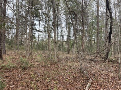 0 Dodge Ln unit 25032006, Round O, SC 29474 - photo 4