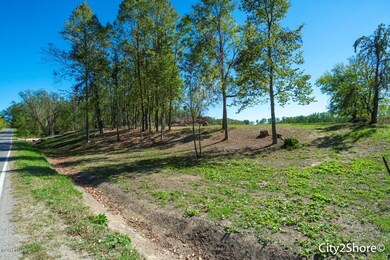 0 76th St SW unit PAR F 17049667, Byron Center, MI 49315 - photo 7