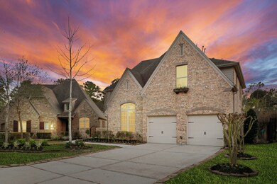 238 Greylake Place, Magnolia, TX 77354 - photo 2