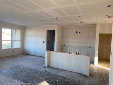 1132 County Road 4797, Boyd, TX 76023 - photo 4