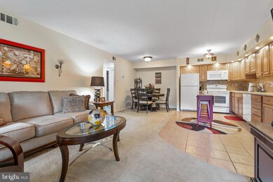 Altemus Farms unit Y1, Brookhaven, PA 19015 - photo 4