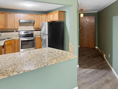 1580 Wheelock Ln unit 104, Saint Paul, MN 55117 - photo 4