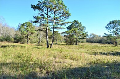 ... Hwy 98 and Pike 93 Central, McComb, MS 39648 - photo 5