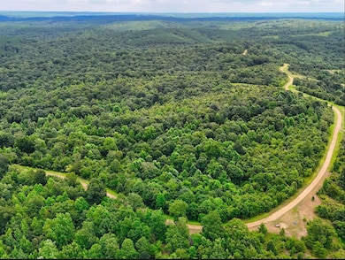 0 Shores Trail unit RTC3000425, Stewart, TN 37175 - photo 3