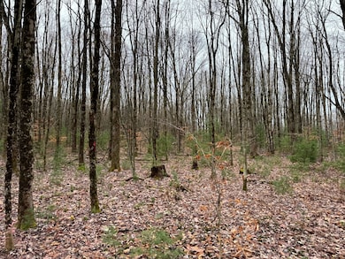 0 Preston Hill Rd, Camden, NY 13316 - photo 2