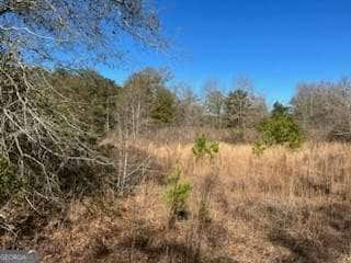 871 Eufaula Hwy, Fort Gaines, GA 39851 - photo 2