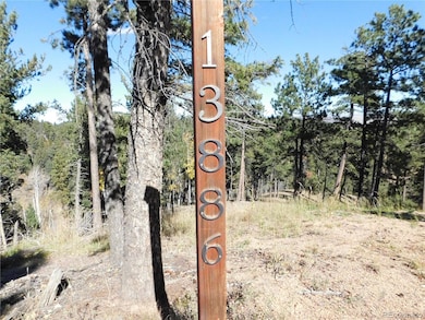 13886 Boulder Ln, Larkspur, CO 80118 - photo 2