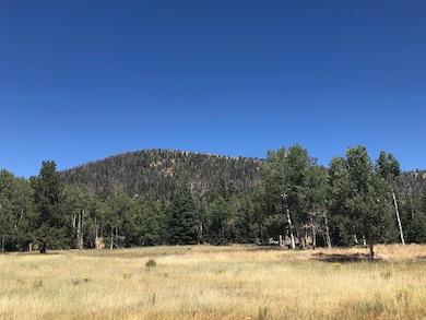 0 N Fork County Rd, Duck Creek Village, UT 84762 - photo 3