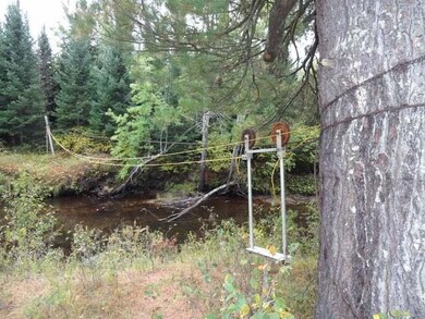 NEAR Honey Rd, Tomahawk, WI 54487 - photo 4