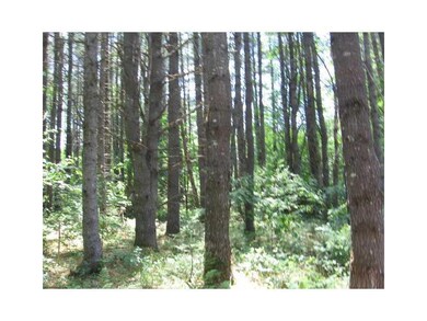 Land/Lot.