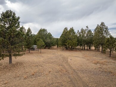 TBD Sundance Dr unit Tract 46: Lone Elk S, West Custer Township, SD 57747 - photo 2
