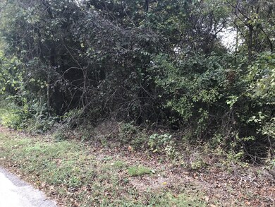 22 Skyline Dr, Kimberling City, MO 65686 - photo 6