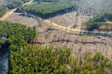 2041 Nathania Farm Rd, Lincolnton, GA 30817 - photo 6