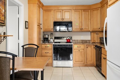 Imperial Towers unit 903, Chestnut Hill, MA 02467 - photo 7