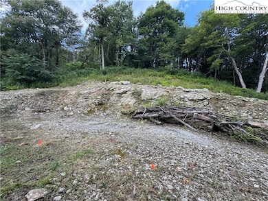 TBD Wyeth Dr, Blowing Rock, NC 28605 - photo 2