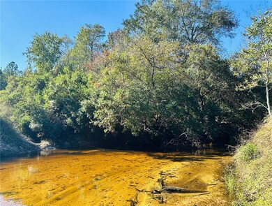 View of local wilderness