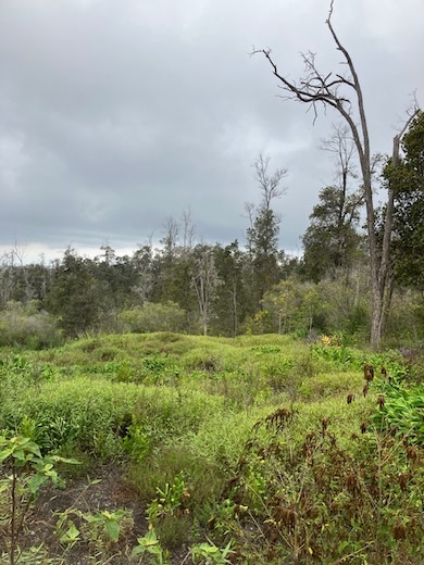 0 Catamaran Ln unit 723953, Ocean View, HI 96737 - photo 7