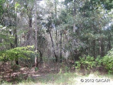 0 276th Terrace, Branford, FL 32008 - photo 3