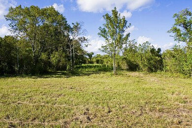 000 Shamrock Ln, Manvel, TX 77578 - photo 7