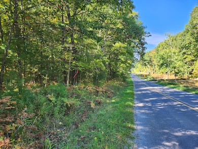 8681 E 8th St, Chase, MI 49623 - photo 5