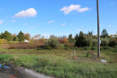 Lot A Blackmer Rd, Carson City, MI 48811 - photo 2