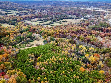 0 White Ln, Knoxville, TN 37920 - photo 5