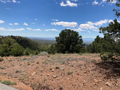 215 Double Arrow Rd, Santa Fe, NM 87505 - photo 5