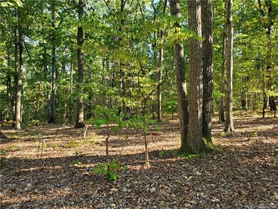 0 Swann Rd, Cool Springs, NC 28625 - photo 3